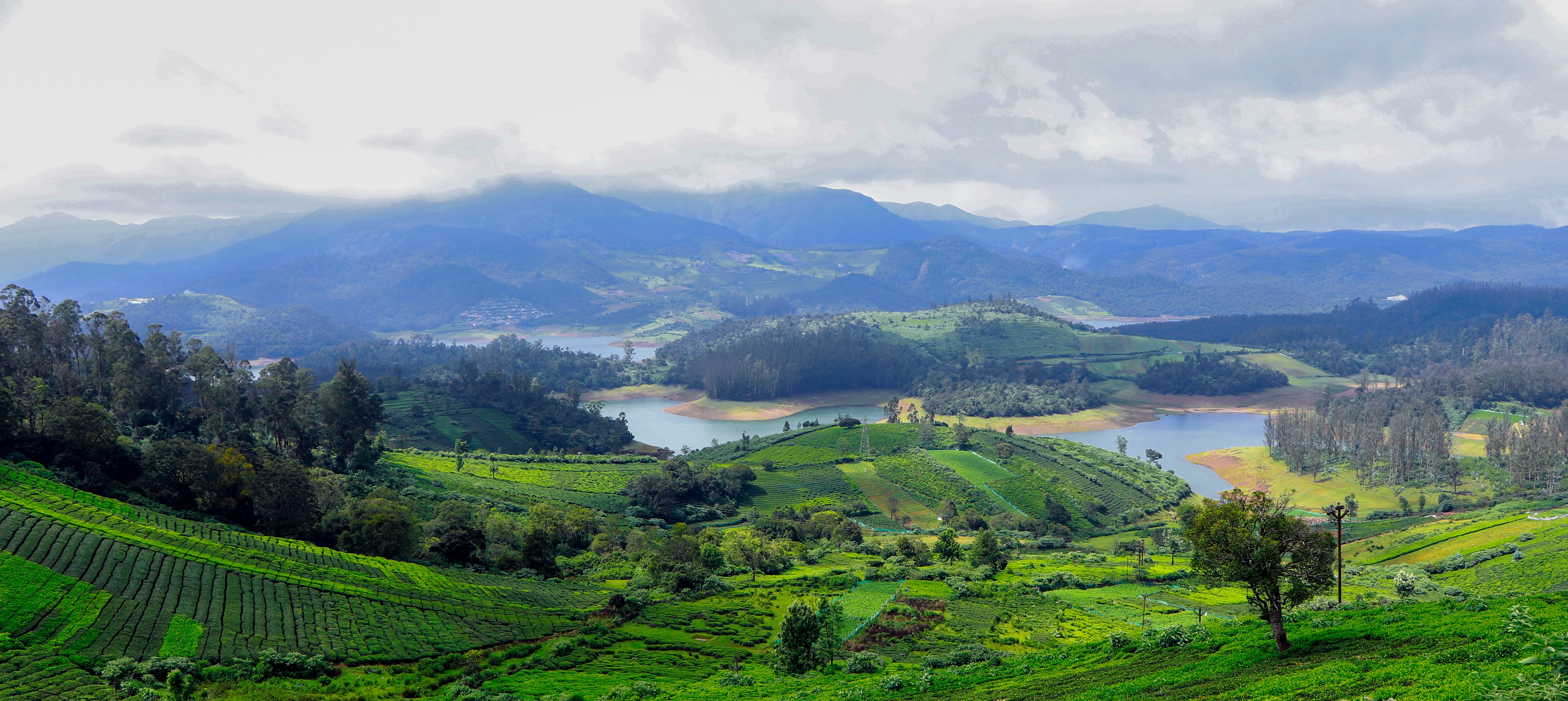 Ooty